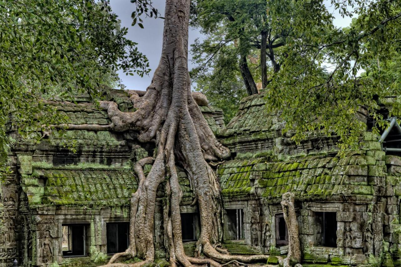 Golden Temple Residence Siem Reap Eksteriør billede Banteay Srei